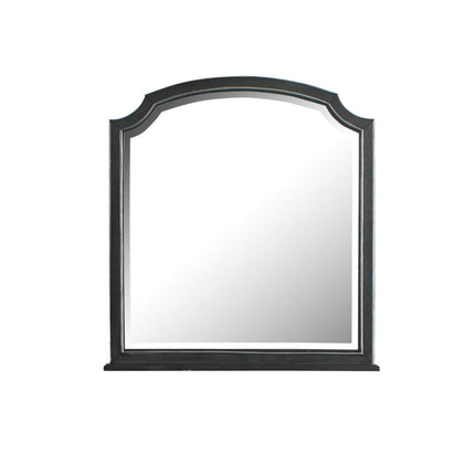 House - Beatrice Mirror - Charcoal Finish ACME 