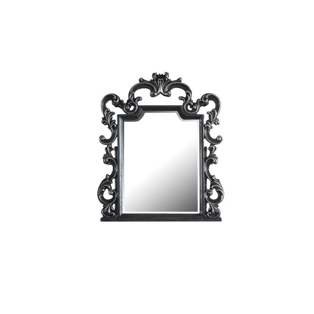 House - Delphine - Mirror - Charcoal Finish ACME 