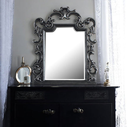 House - Delphine - Mirror - Charcoal Finish ACME 