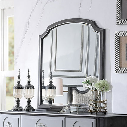 House - Beatrice Mirror - Charcoal Finish ACME 