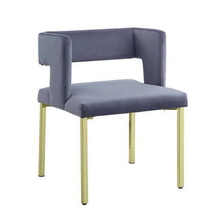 Zarriah - Side Chair (Set of 2) - Blue ACME 