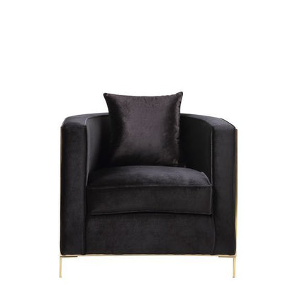 Fergal - Chair - Black Velvet & Gold Finish ACME 