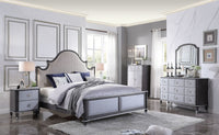 House - Beatrice Mirror - Charcoal Finish ACME 