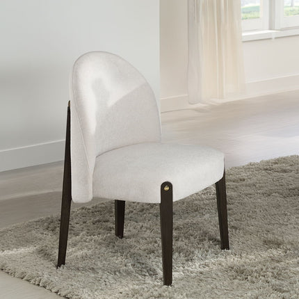 Clayten - Side Chair (Set of 2) ACME 