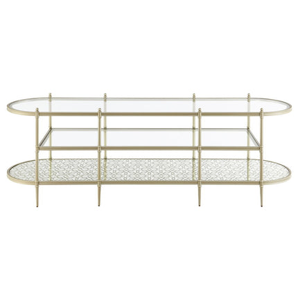 Zaba - TV Stand - Glass Top & Silver ACME 