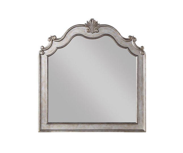 Esteban - Mirror - Antique Champagne ACME 