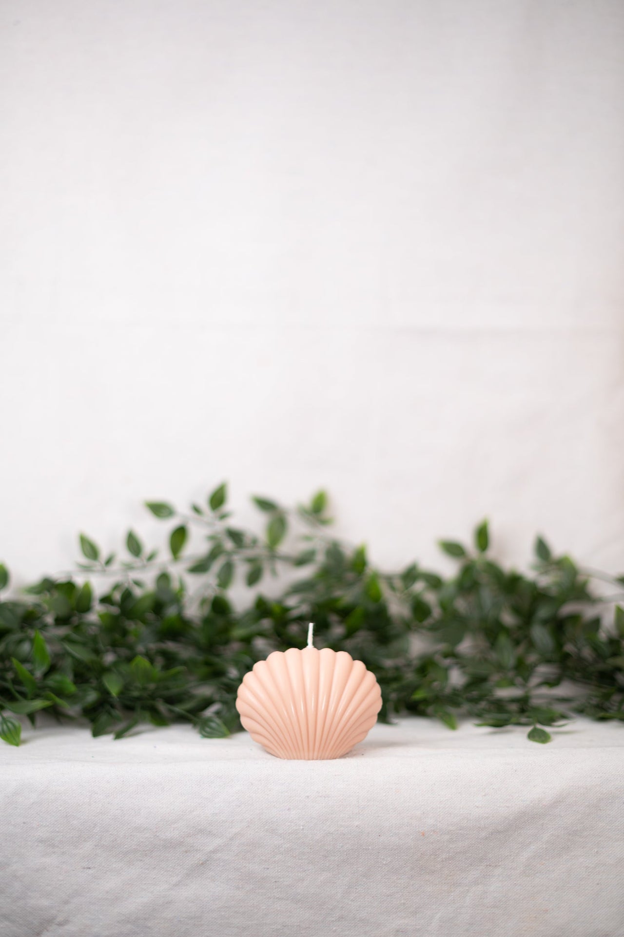 "Shell" Candle Collection