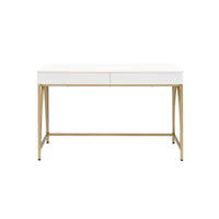 Lightmane - Desk - White High Gloss & Gold ACME 