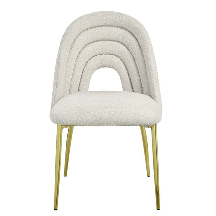 Fadri - Side Chair (Set of 2) - Teddy Sherpa & Mirrored Gold ACME 