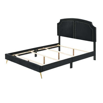 Zeena - Full Bed - Black Velvet ACME 