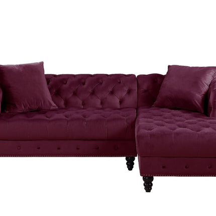 Adnelis - Sectional Sofa w/2 Pillows ACME 