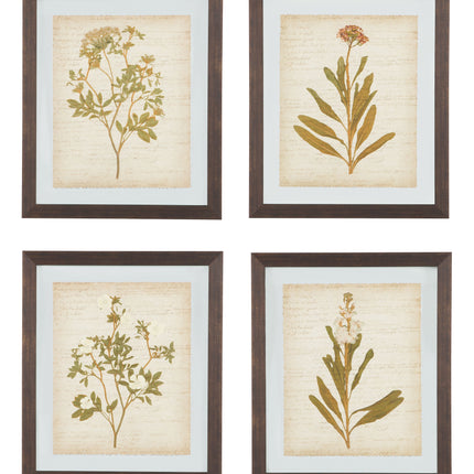 Dyani - Brown - Wall Art Set (Set of 4) Ashley Furniture 