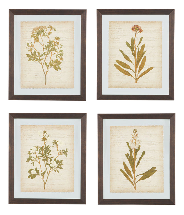 Dyani - Brown - Wall Art Set (Set of 4) Ashley Furniture 