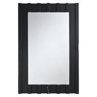 Drisana - Accent Mirror - Black ACME 
