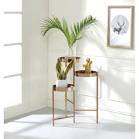 Thumbnail for Namid - Plant Stand - Gold - Tony's Home Furnishings