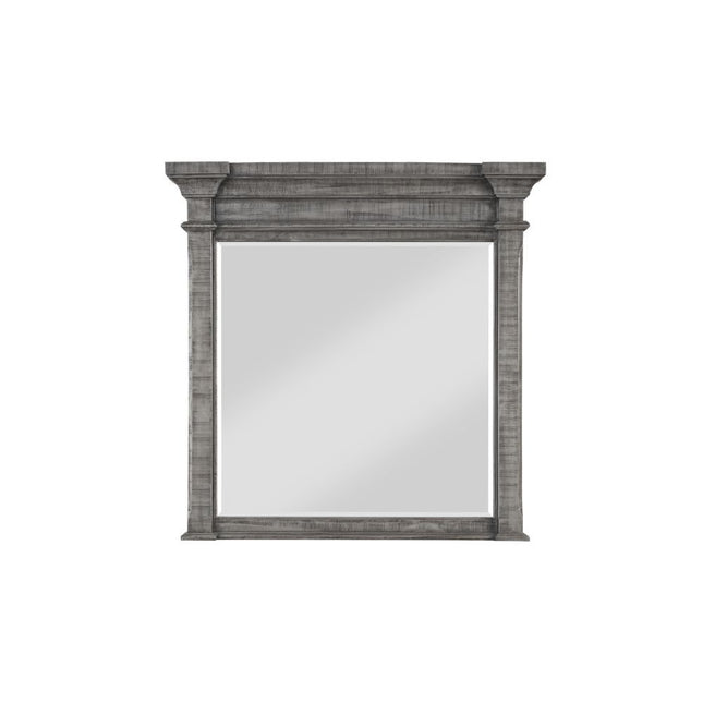 Artesia - Mirror - Salvaged Natural - Tony's Home Furnishings