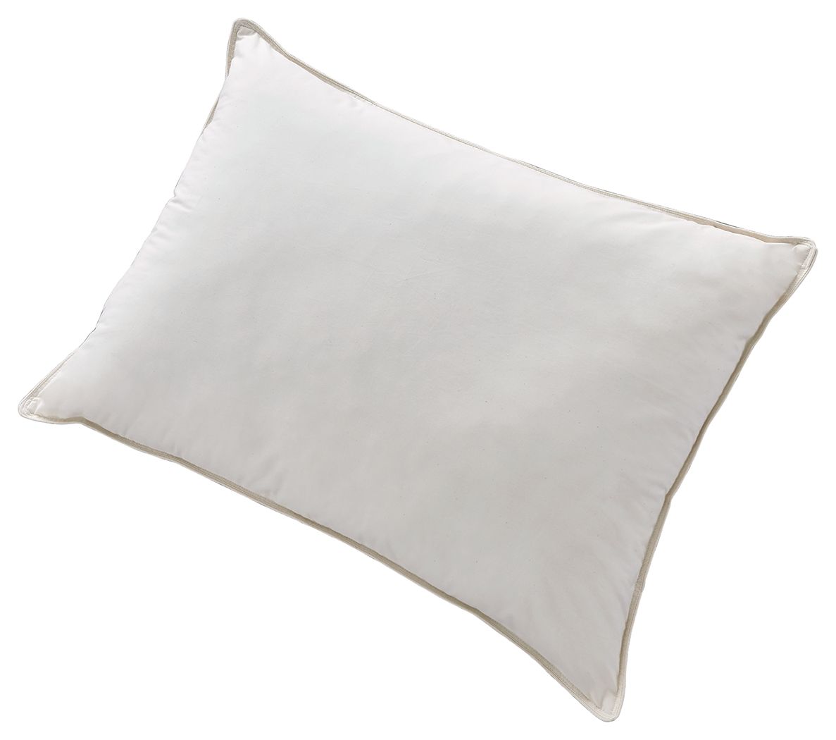 Z123 Pillow Series - Cotton Allergy Pillow Tony's Home Furnishings Furniture. Beds. Dressers. Sofas.