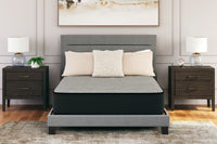 Thumbnail for Palisades Firm - Mattress - Tony's Home Furnishings