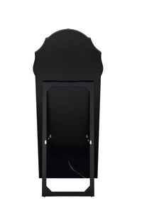Noralie - Accent Floor Mirror - Mirrored - Tony's Home Furnishings