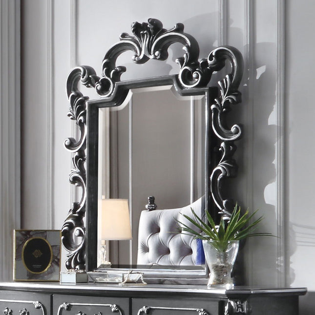 House - Delphine - Mirror - Charcoal Finish - Tony's Home Furnishings