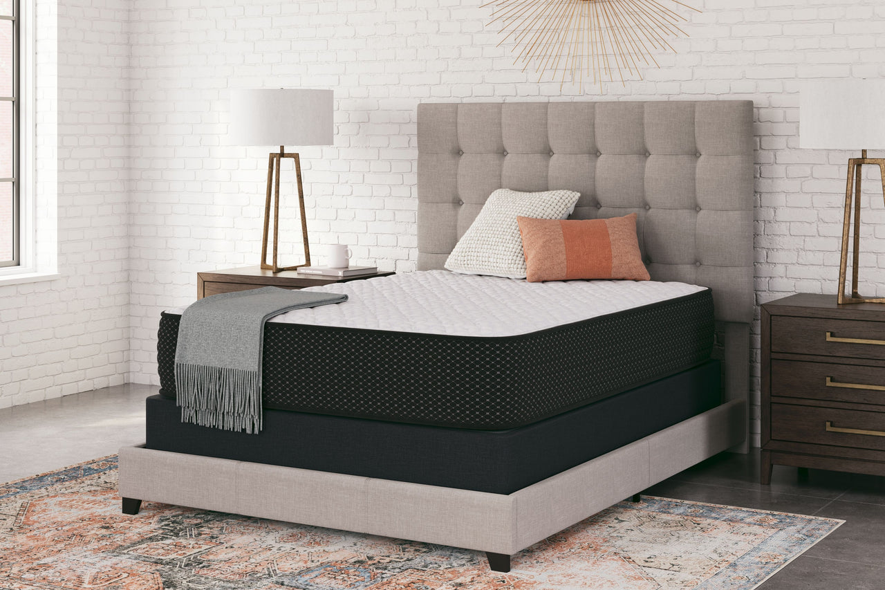 Limited Edition Firm - Mattress - Tony's Home Furnishings